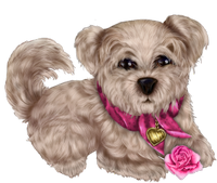 a cute puppy